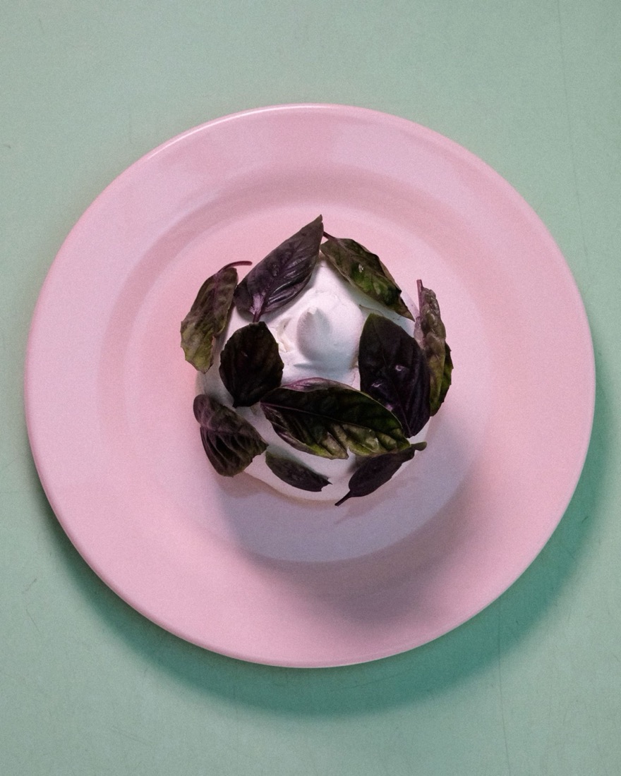 Vacherin meringue with lemon basil sorbet and yoghurt mousse