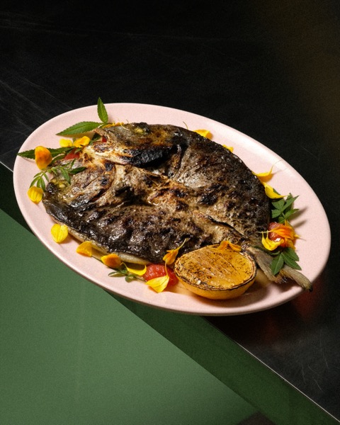 Seabream