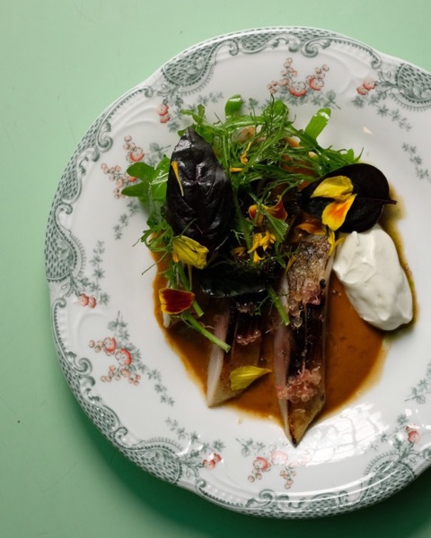 Saba Mackerel with harissa and labneh