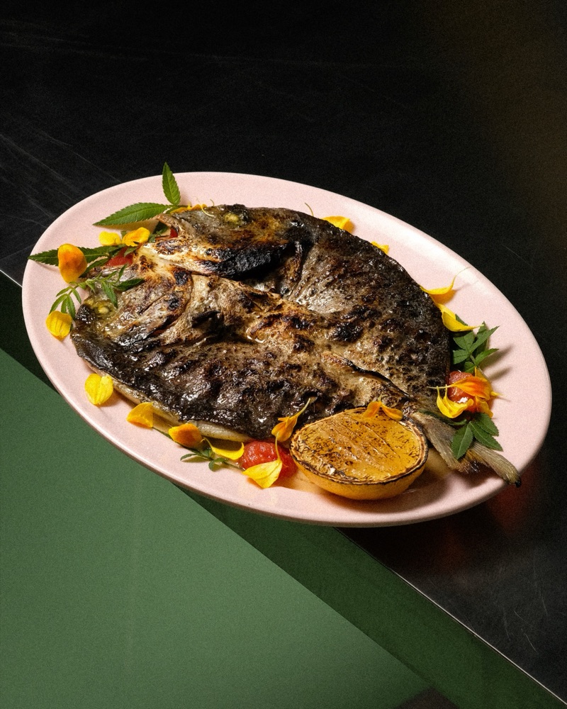 Seabream