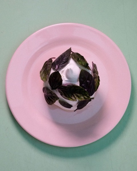 Vacherin meringue with yoghurt mousse and lemon basil sorbet